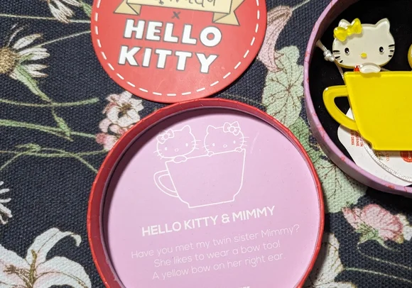 BNWT 2021 Erstwilder x Hello Kitty collab Hello Kitty and Mimmy brooch - Picture 2 of 3